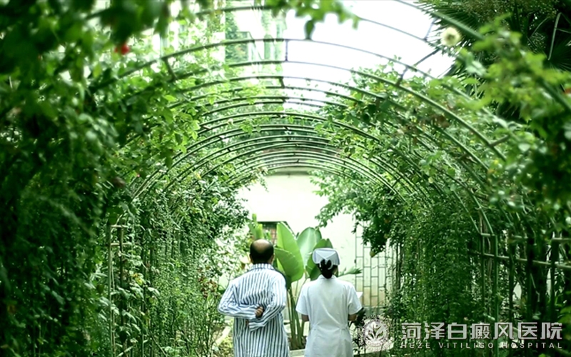 山东治疗白癜风医院